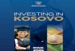 InvestinginKosovo 2011 Web
