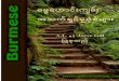 Burmese - Patterns for Living from the Old Testament