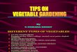Tips on Vegetable Gardening