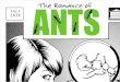 Ants Comicbook
