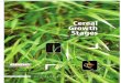 GRDC Cereal Growth Stages