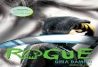 Rogue Excerpt by Gina Damico
