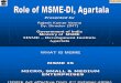 MSME presentation
