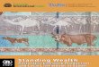 Standing Wealth:  Pastoralist Livestock Production and Local Livelihoods in Sudan
