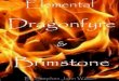 Elemental Dragonfyre & Brimstone; First Four Chapters