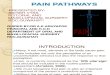 Pain Pathways IN HUMANS