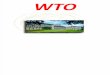 The WTO world trade organisation world trade organisation