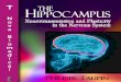 The Hippocampus Neurotransmission and Plasticity in the Nervous System - Philippe Taupin