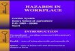 Hazards in Workplaces