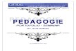 -pedagogie Pedagogie - portofoliu seminar