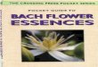 103189461 Bach Flower Essences