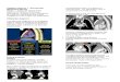 Diagnostic Imaging Pediatric Chest CT 1