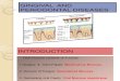 Lecture - Cogingival and periodontal diseases