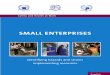 Guidelines Small Enterprises