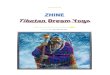 Steve-Roberts-Zhine-Tibetan-Dream-Yoga-CD - 2.pdf