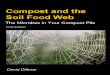 Compost and the Soil Food Web