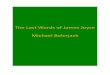 The Last Words of James Joyce by Michael Bolerjack