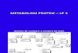 13 - Metabolism Proteic 3
