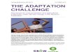 The Adaptation Challenge: Key issues for crop production and agricultural livelihoods under climate change in the Russian Federation
