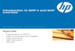 Introduction to ERP´s and SAP 2
