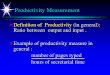 4. Productivity Measurement