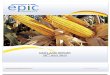 DAILY AGRI REPORT BY EPIC RESEARCH - 26 JULY 2012