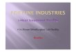 Fortune Industries Company Profile