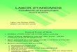 USA Labor Standards 2 2009