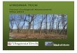 Virginia Tech Stadium Woods Forest Ecological Assessment