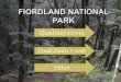 New Zealand Foridland National Park