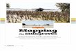 Campus Magazine: Mapping the Mangroves
