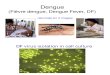 Dengue Images 2
