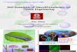 PRESENTACION(Self-Assembly of Nano Bio Materials for Tissue Engineering)