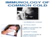 Imm of Common Cold