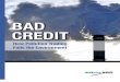 Bad Credit: How Pollution Trading Fails the Environment