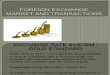 FOREIGN EXCHANGE MARKET AND TRANSACTIONS