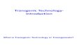 Transgenic Technology- Lecture #1 & 2 (MKM 05.01.2012)