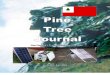 The Pine Tree Journal - Issue #3