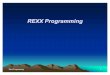 Rexx Programing