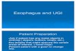 Esophagus and UGI 2