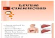 Hepatic Cirrhosis