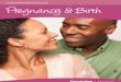 Greatvine.com Guide Pregnancy Childbirth