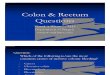 Colon & Rectum Questions Aug 2008
