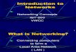 Introduction Computer Networking(1)