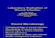 18-Laboratory Evaluation of Wound Infe Ction v1- 3