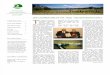2009 Winter Tradewinds, Talbot Soil Conservaton District Newsletter