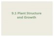 Topic 9.1 Plant Structure