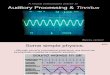 Auditory Processing & Tinnitus