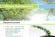 Presentation 18 Plant Hormones (by Dptcrisologo