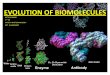 Evolution of Bio Molecules